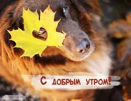 1535384518_0014.webp
