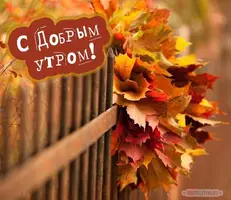 2226c162a41219eb59cd44d3642dcedb.webp
