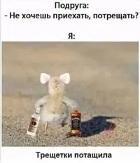 Screenshot_20210920_232458.webp