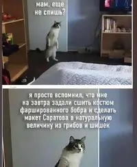 Screenshot_20210920_232345.webp