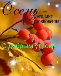 c52fef6f4384311eff9b2fdd6be57a5c.webp