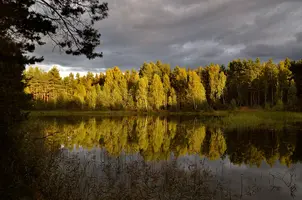 _DSC0922.webp