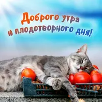 2021-09-23-11-04-42.webp