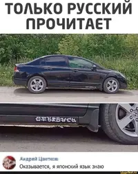 db62567afbbcf97eb4a17c6d6a641681.webp