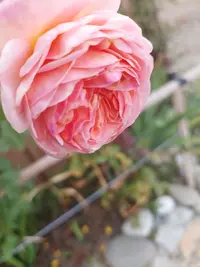 20210922_142538.webp