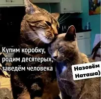 eZZYT1D0vac.webp