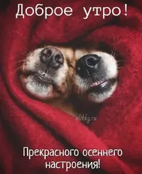 IMG-20210924-WA0008.webp