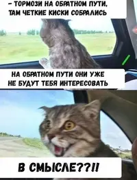 d536b8422b1cb81f1bb7639678239bac.webp
