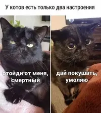 199d5a963732d775d04c781161a73cf4.webp