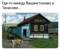 160601cede43429ff7c36705c62a076c.webp
