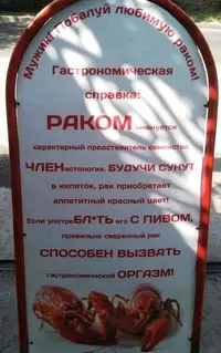 6c512de95719a06030e5c74b4a0f9984.webp