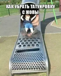 497426987a340bce1561c469d08c5779.webp