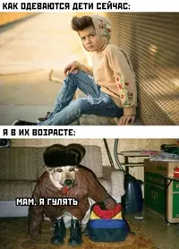 IMG-2e14433de69c33a2df967975ebb02d0b-V.webp