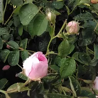 ByoJjegyS3U.webp