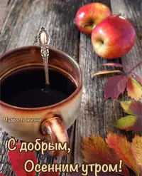 IMG-20210923-WA0008.webp