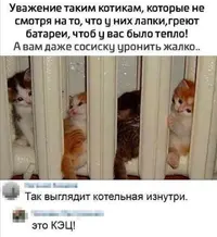Screenshot_20210924_223908.webp