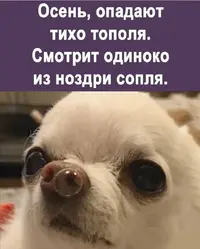 Screenshot_20210924_223946.webp