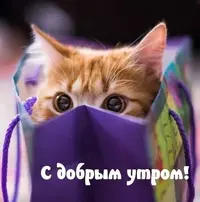 7b0070e8bddfccb7a87612f918fb1e07.webp