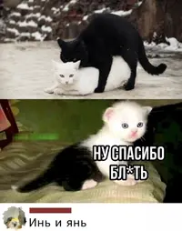 YGdBhWpPSj8.webp