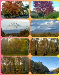 Polish_20210926_170211877.webp