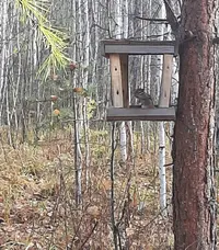 Screenshot_20210926-140120_Gallery.webp
