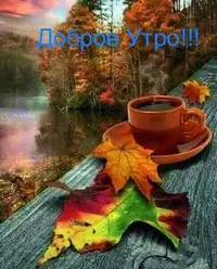 IMG-20210926-WA0004.webp