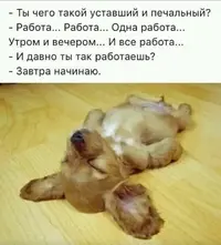 d408e777e50619221202804623d9d206.webp