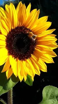 20210925_103137_copy_518x921.webp