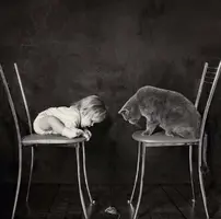 y39xpffcn1w.webp