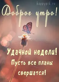 1c268772eff132498e4a4e0494901059.webp