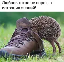 Screenshot_20210925_162828.webp