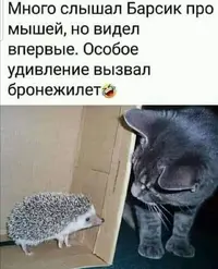 Screenshot_20210925_162843.webp