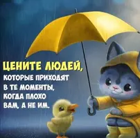 Screenshot_20210925_224001.webp