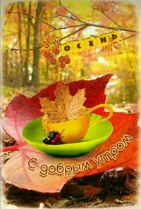 IMG-20210926-WA0001.webp