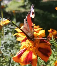IMG_20210927_134255.webp