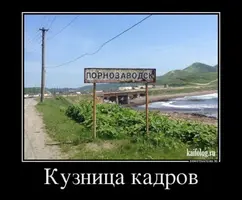 7551598d6787bcdb39a7f6f160e26f95.webp