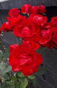 20210928_142434.webp