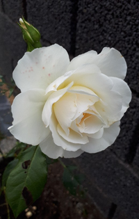 20210928_143754.webp