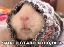 Screenshot_20210928_223648.webp