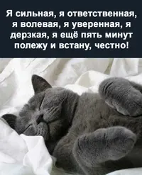 IMG_20210923_094211_739.webp