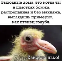 Screenshot_20210926_120700.webp