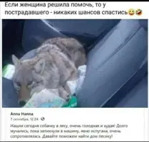Screenshot_20210929_141144.webp