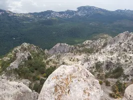 20210928_122555.webp