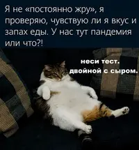 db3ee50968f0fa6abe1452b881170d9b.webp