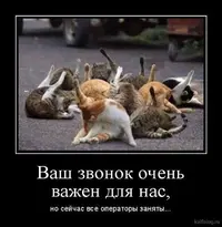 0022dfea09406b6fa270c796ca0185fd.webp
