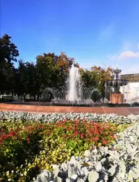 Screenshot_20210929_171535.webp