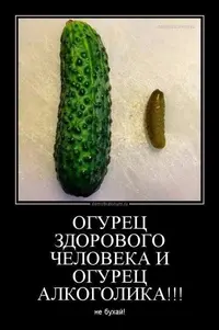 be4ec9068cf727ea48a90ef632589369.webp