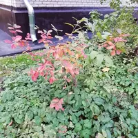 IMG_20210929_153918.webp