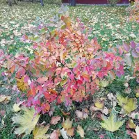 IMG_20210929_164252.webp