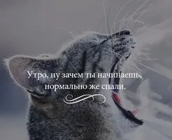 2021-09-30-09-22-49.webp